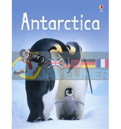 Antarctica Lucy Bowman Usborne 9780746080351