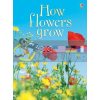 How Flowers Grow Emma Helborough Usborne 9780746074503