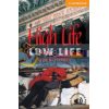High Life, Low Life with Downloadable Audio (American English) Alan Battersby 9780521788151