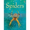 Spiders Rebecca Gilpin Usborne 9780746074794
