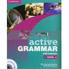 Active Grammar 3 with answers 9780521152501
