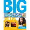 Big English Plus 6 Activity Book 9781447994633
