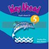 Way Ahead 5 Pupil's Book CD 9780230039995