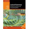 Lexical Grammar 9781316644751