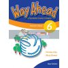 Way Ahead 6 Teacher's Book 9781405059268