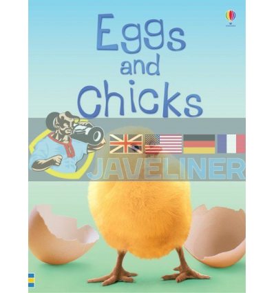 Eggs and Chicks Fiona Patchett Usborne 9780746074527