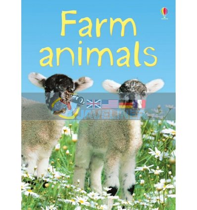Farm Animals Katie Daynes Usborne 9780746074763