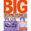 Big English Plus 5 Teachers Book 9781447994619