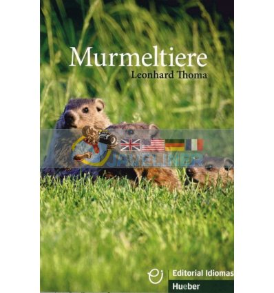 Murmeltiere - 12 Geschichten Hueber 9783192195976