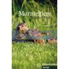 Murmeltiere - 12 Geschichten Hueber 9783192195976