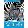 Young Animals Rachel Bladon Oxford University Press 9780194646338