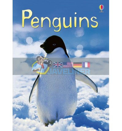 Penguins Emily Bone Usborne 9780746099667