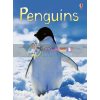 Penguins Emily Bone Usborne 9780746099667