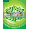 Super Minds 2 Teacher's Book 9780521219570