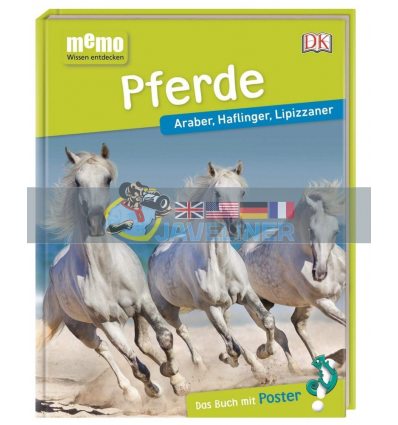 Pferde Dorling Kindersley Verlag 9783831034017