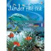Under the Sea Fiona Patchett Usborne 9780746074879