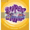 Super Minds 5 Posters 9781107429772