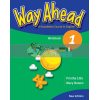 Way Ahead 1 Workbook 9781405058568