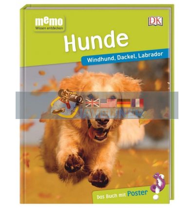 Hunde Dorling Kindersley Verlag 9783831038114