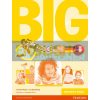 Big English Starter Teachers Book 9781447951087