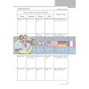 Англійська мова 4 клас : розгорнуте календарне планування (до підруч Англійська мова 4 клас Start Up) Павліченко И900997УА