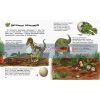 Динозаври та інші доісторичні тварини Енциклопедія дошкільника С614022У 9786170950666