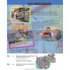 Schritte plus 2 Kursbuch + Arbeitsbuch mit Audio-CD zum Arbeitsbuch und interaktiven Ubungen Hueber 9783190119127