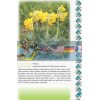 Український квітник Н901290У 9786170943910