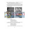 Чарівний світ емоцій Гурткова робота Старший дошкільний вік + CD-диск О134034У 9786170921277