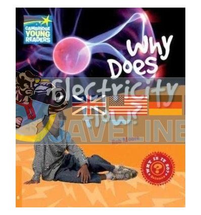 Why does Electricity Flow? 9780521137485