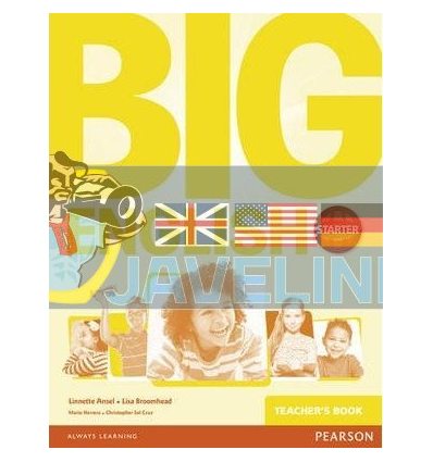 Big English Starter Teachers Book 9781447951087