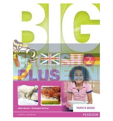 Big English Plus 2 Pupils Book 9781447989134