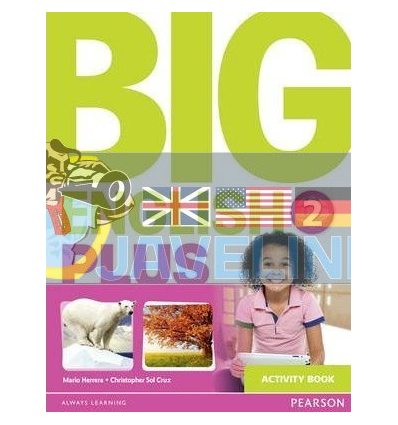 Big English Plus 2 Activity Book 9781447989103
