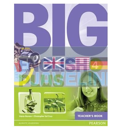 Big English Plus 4 Teachers Book 9781447994503
