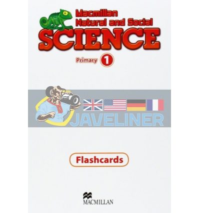 Macmillan Natural and Social Science 1 Flashcards 9780230720022