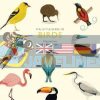 The Little Guide to Birds Alison Davies 9781787131644