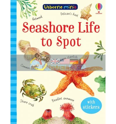 Seashore Life to Spot Sam Smith Usborne 9781474974981