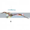 The Age of The Dinosaurs: Pteranodon 3D Alberto Borgo Sassi 9788830301306