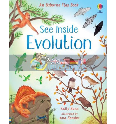 See Inside Evolution Emily Bone Usborne 9781474952798