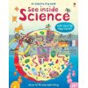 See inside Science Alex Frith Usborne 9780746077443