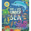 Hide and Seek Under the Sea Gareth Lucas Little Tiger Press 9781912756742