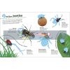 The Ultimate Sticker Book: Bugs Dorling Kindersley 9780241467077
