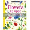 Flowers to Spot Sam Smith Usborne 9781474952163