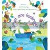 Lift-the-Flap First Questions and Answers: What Are Feelings? Christine Pym Usborne 9781474948180