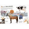 The Ultimate Sticker Book: Farm Dorling Kindersley 9780241467046