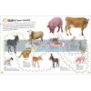 The Ultimate Sticker Book: Farm Dorling Kindersley 9780241467046