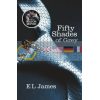 Fifty Shades of Grey (Book 1) E. L. James 9780099579939