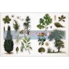 The Botanist's Sticker Anthology  9780241491713