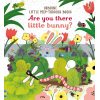 Are You There Little Bunny? Emily Dove Usborne 9781474945547