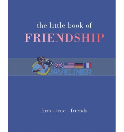 The Little Book of Friendship Tiddy Rowan 9781849495356